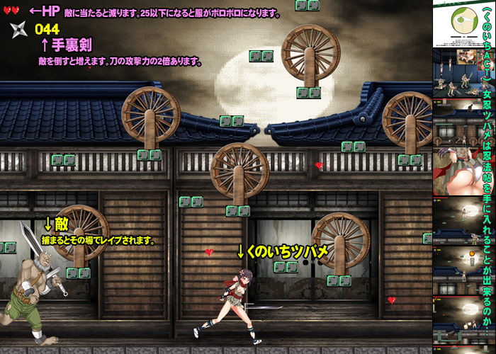 くのいちツバメの被虐忍法帖