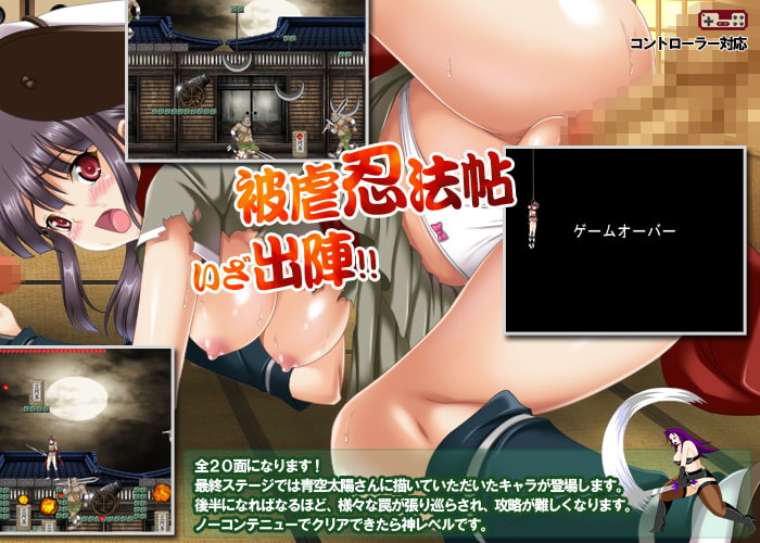 くのいちツバメの被虐忍法帖