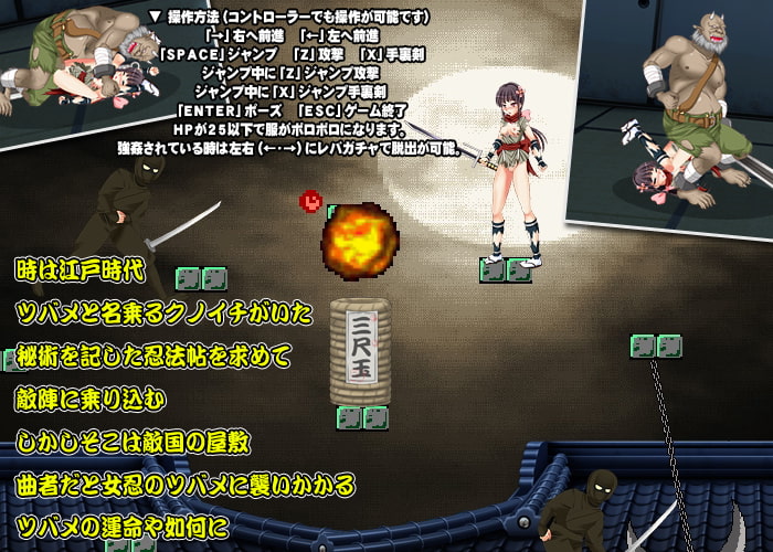 くのいちツバメの被虐忍法帖