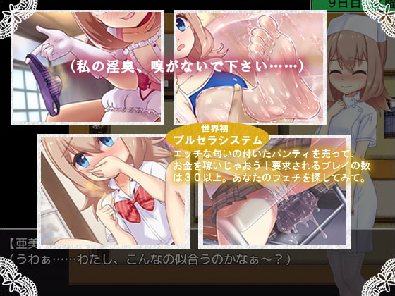 ブルセラクエスト