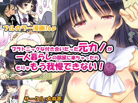 プラトニックな付き合いだった元カノが一人暮らしの部屋に来ちゃったらそりゃもう我慢できない!