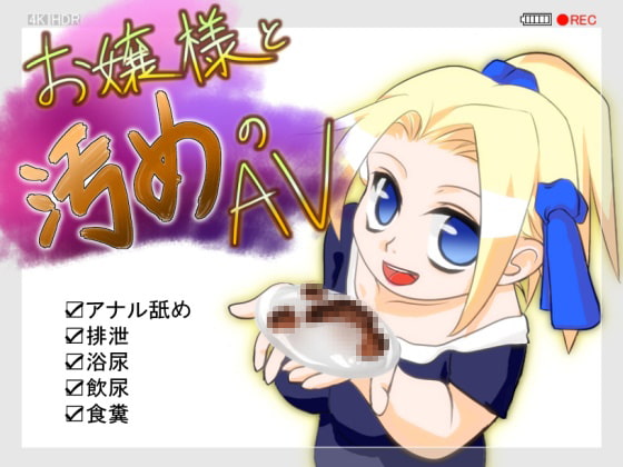 お嬢様と汚めのAV