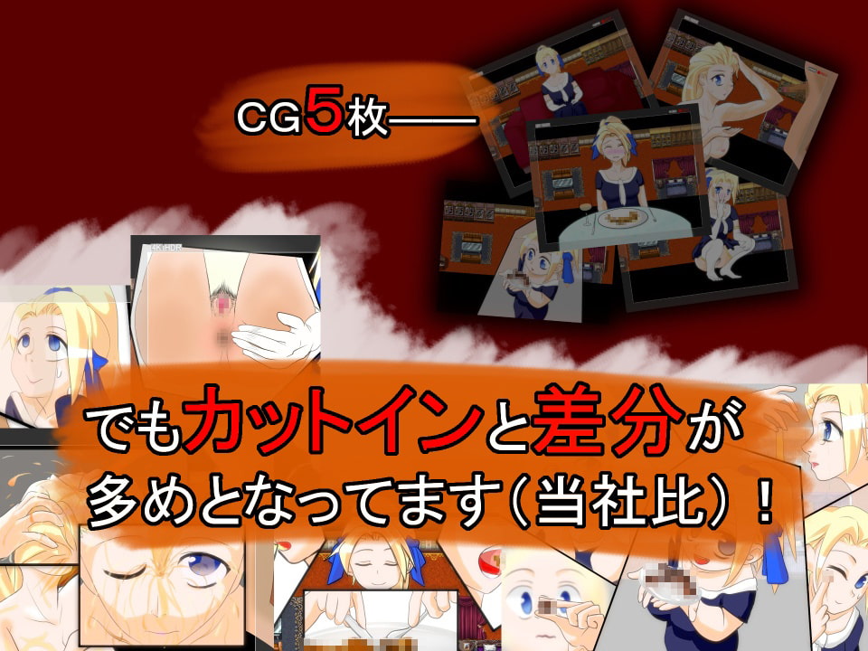 お嬢様と汚めのAV