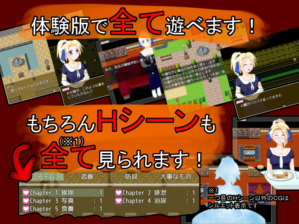 お嬢様と汚めのAV