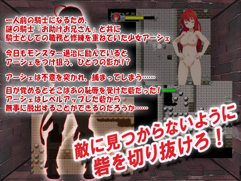 アーシェのお買い得パック