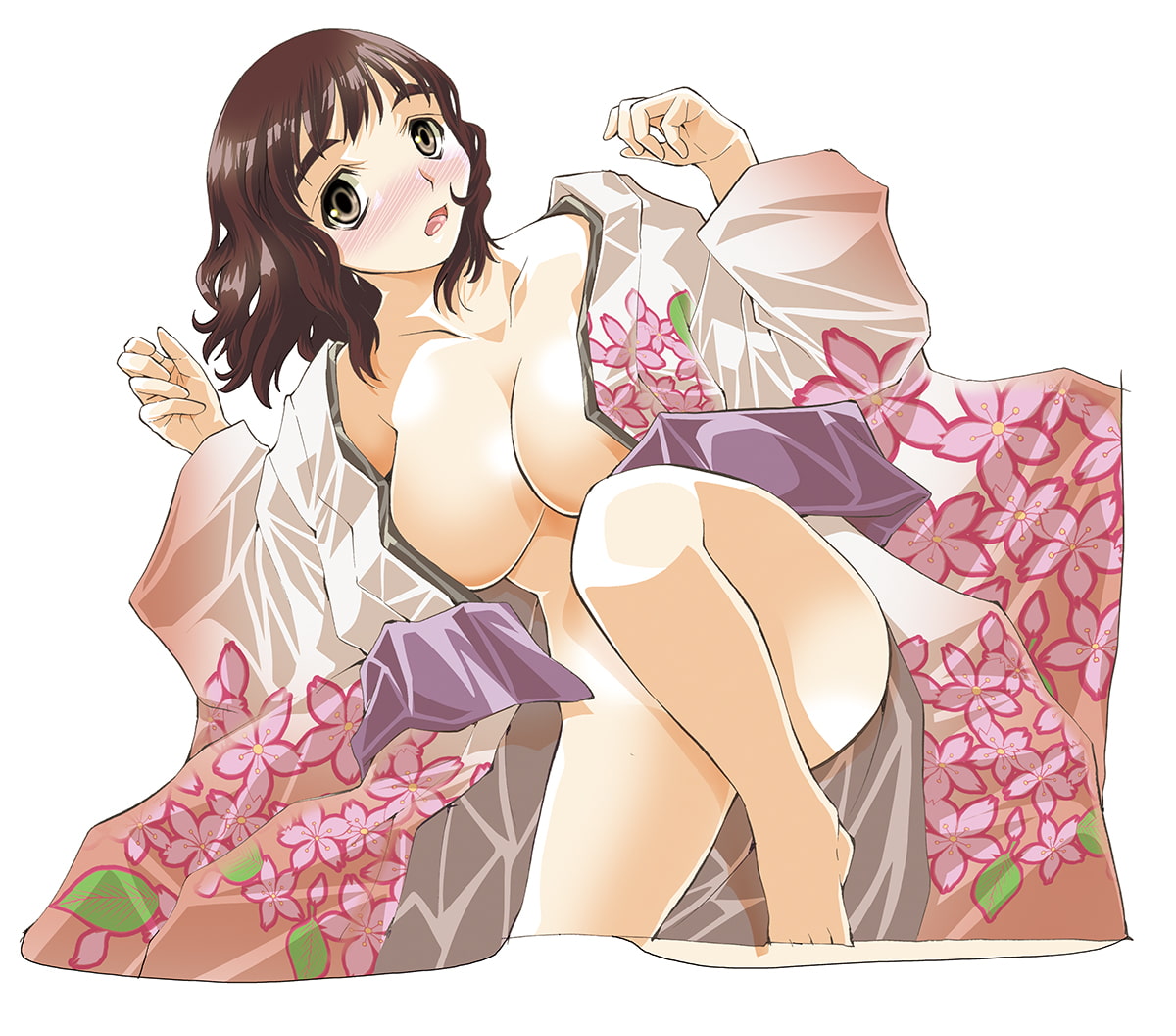 Hゾクセイ Download Edition