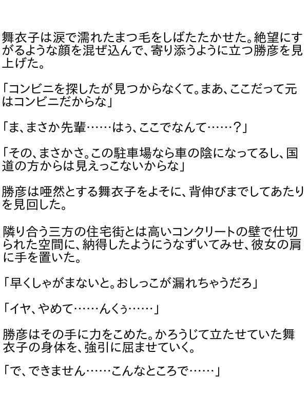 おしっこ漏れちゃう～営業ガール・涙の恥辱責め