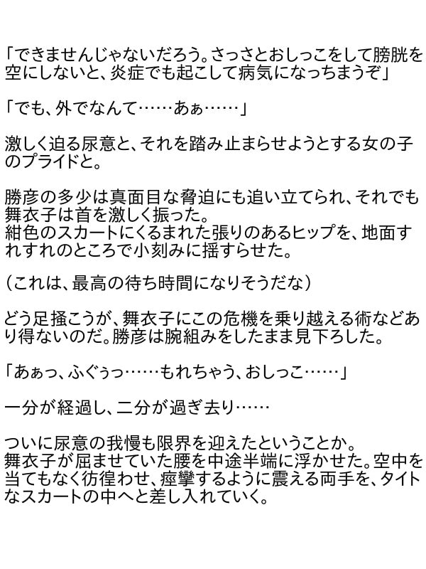 おしっこ漏れちゃう～営業ガール・涙の恥辱責め
