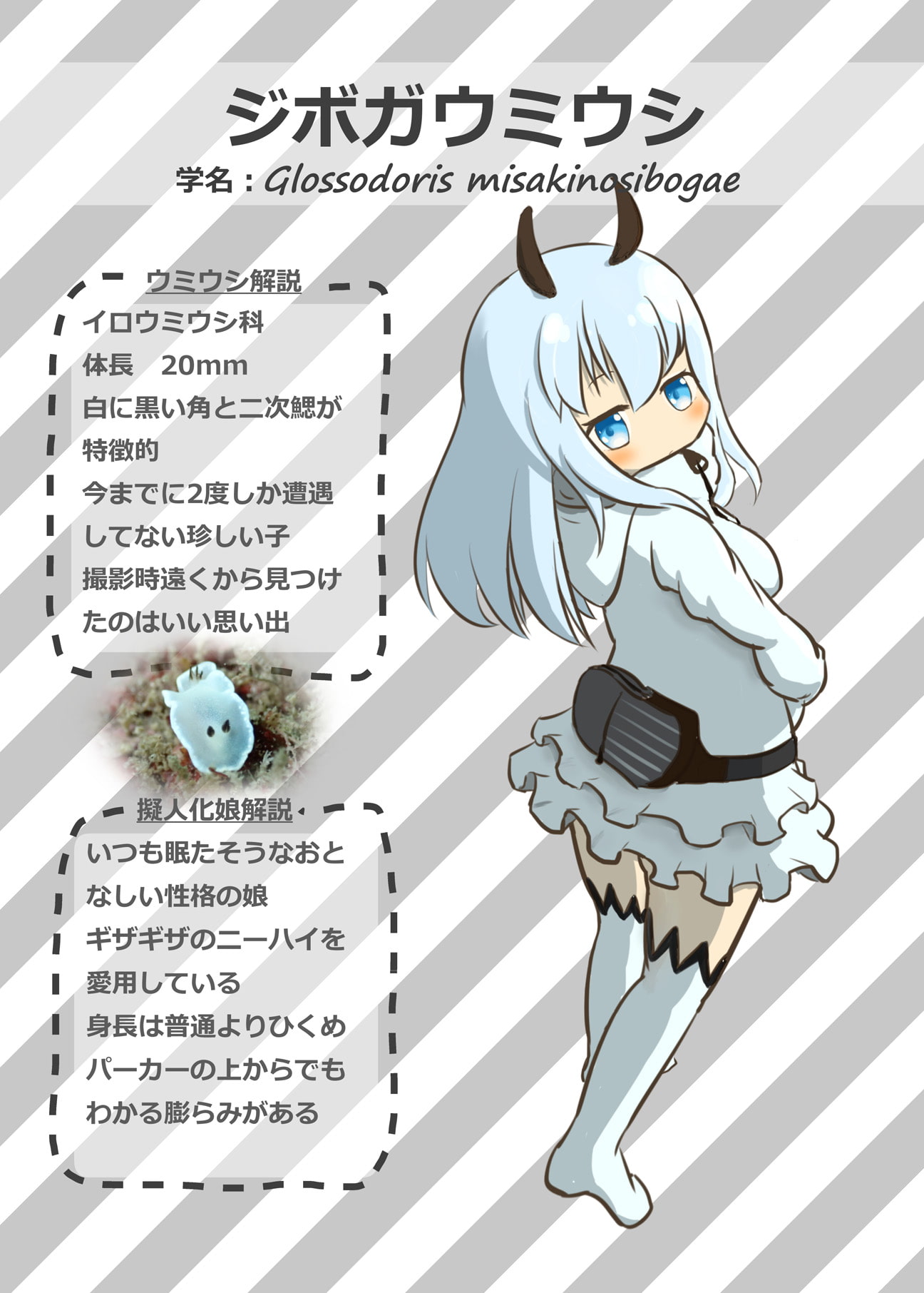 ウミウシ擬人化図鑑