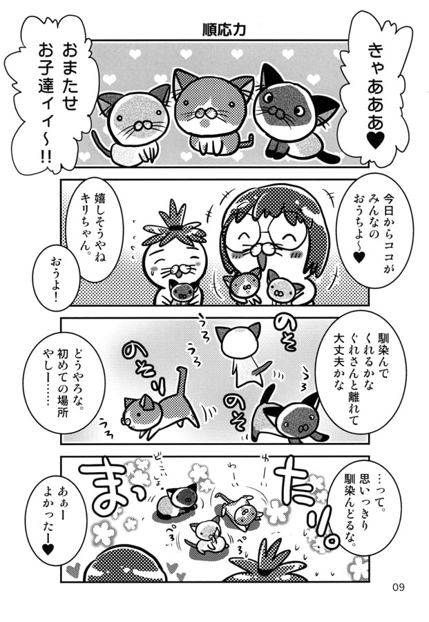 すかこぐみ！Vol.1