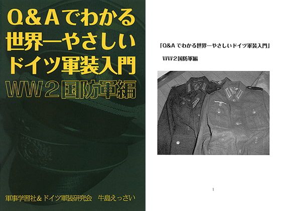 Q&Aでわかる世界一やさしいドイツ軍装入門 WW2国防軍編