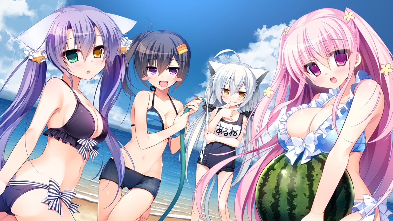 Corona Blossom Vol.3 Special DLC (enables x-rated scenes)[for Steam version only]
