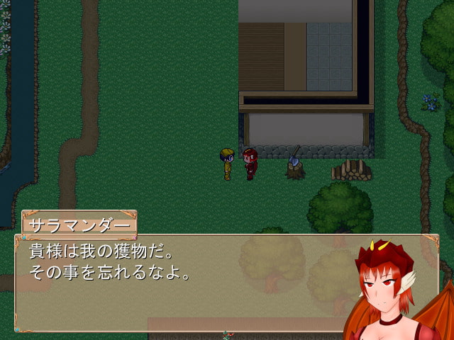 ドリューの幻想