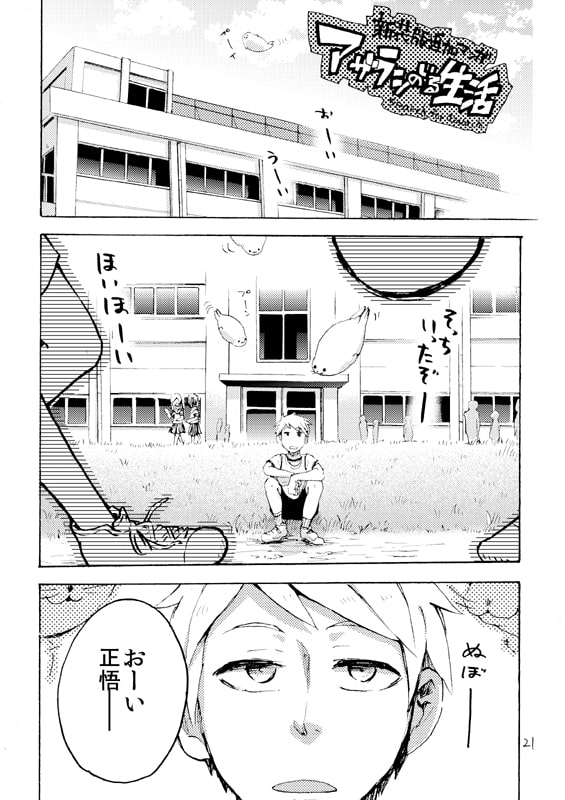 アザラシのいる生活