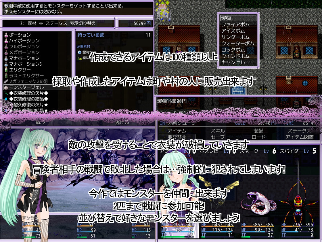 アンジェのドキドッキュン冒険記