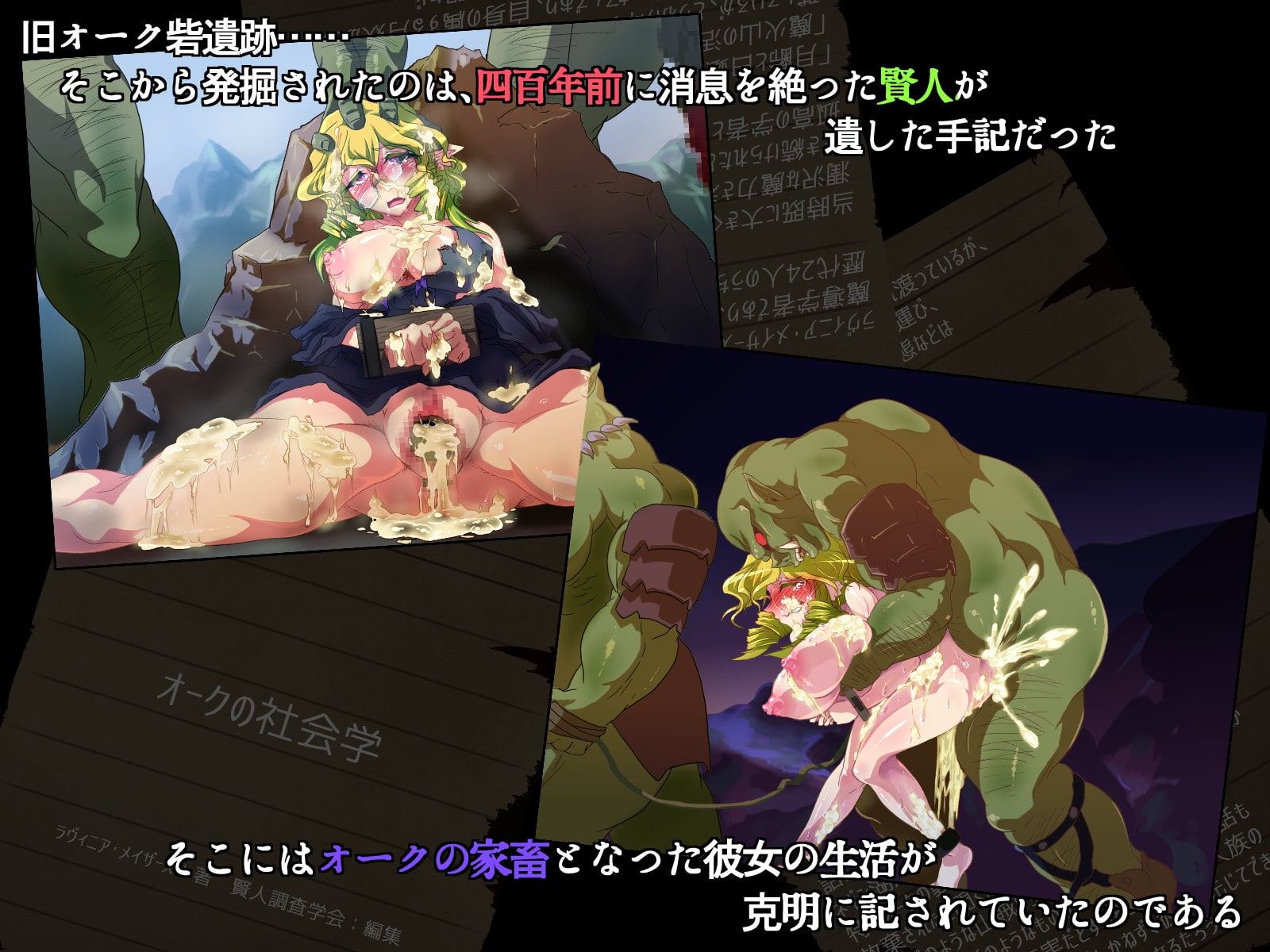 賢者ラヴィニアの手記～旧オーク砦にて発掘された遺稿～