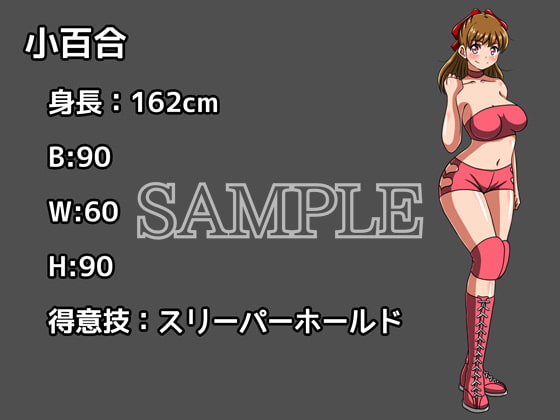 サブミッションガールズ2