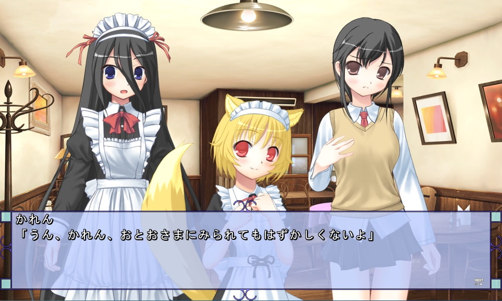 退魔士と魔法少女(4)～恋する霊と稲荷の妻～