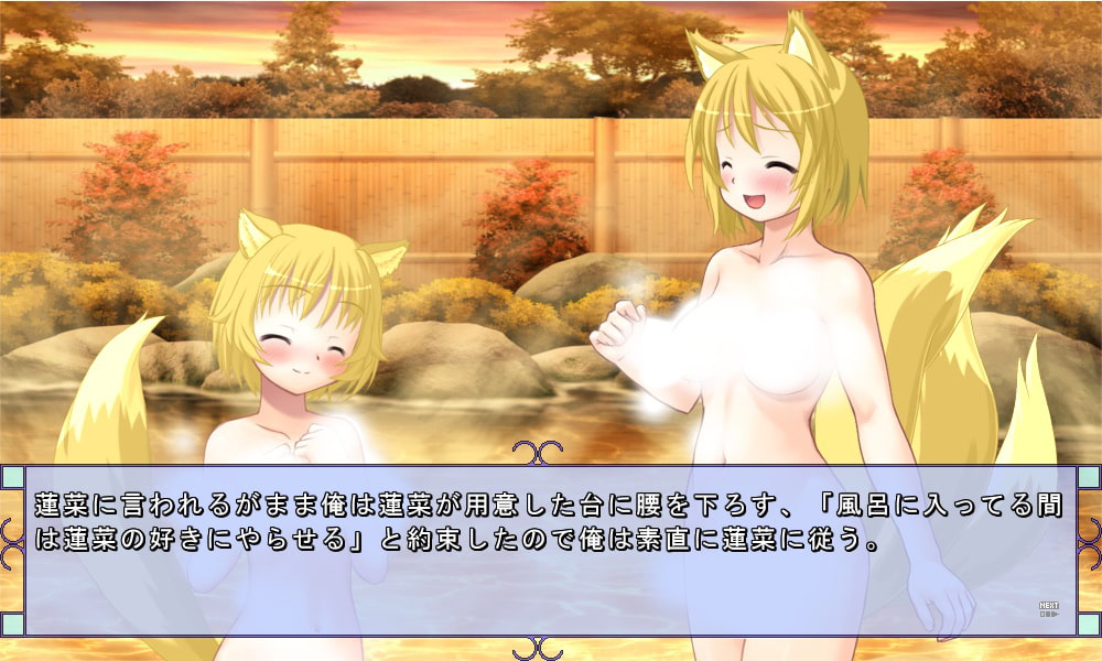 退魔士と魔法少女(4)～恋する霊と稲荷の妻～