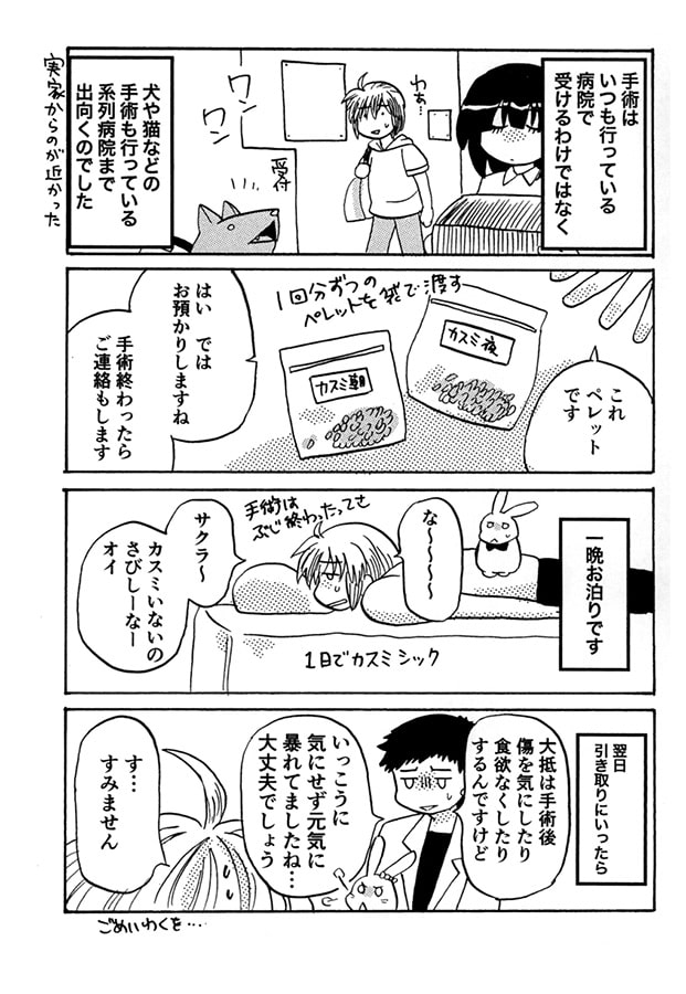 カスミが避妊手術を経たの巻