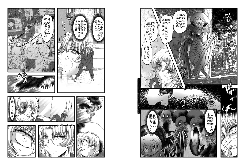 シャレーダーセカンドNO.34