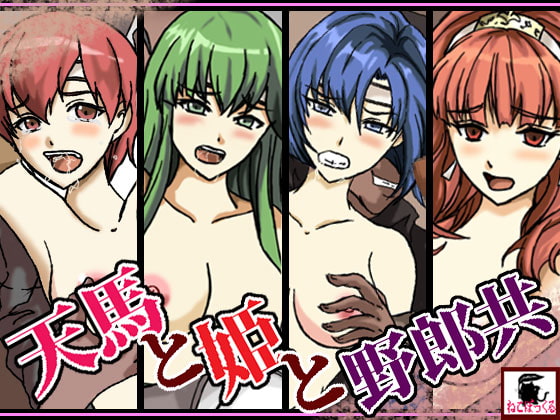 天馬と姫と野郎共