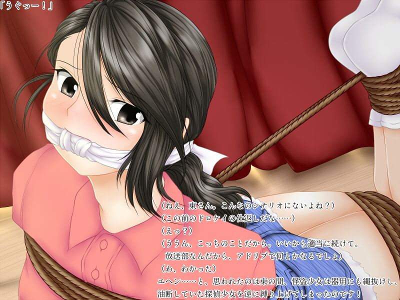 逆海老縛り撰集