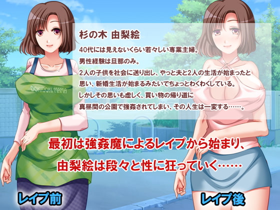 【PDF、JPG版】寝取られ変態妻 痴態日誌