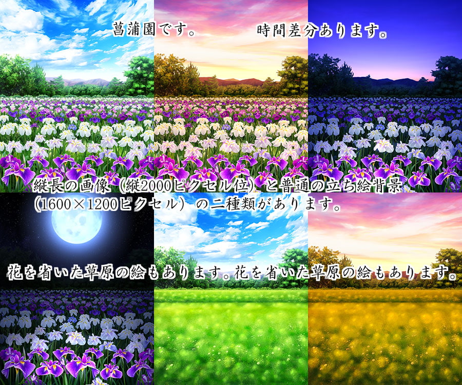 著作権フリー背景CG素材「花菖蒲素材」