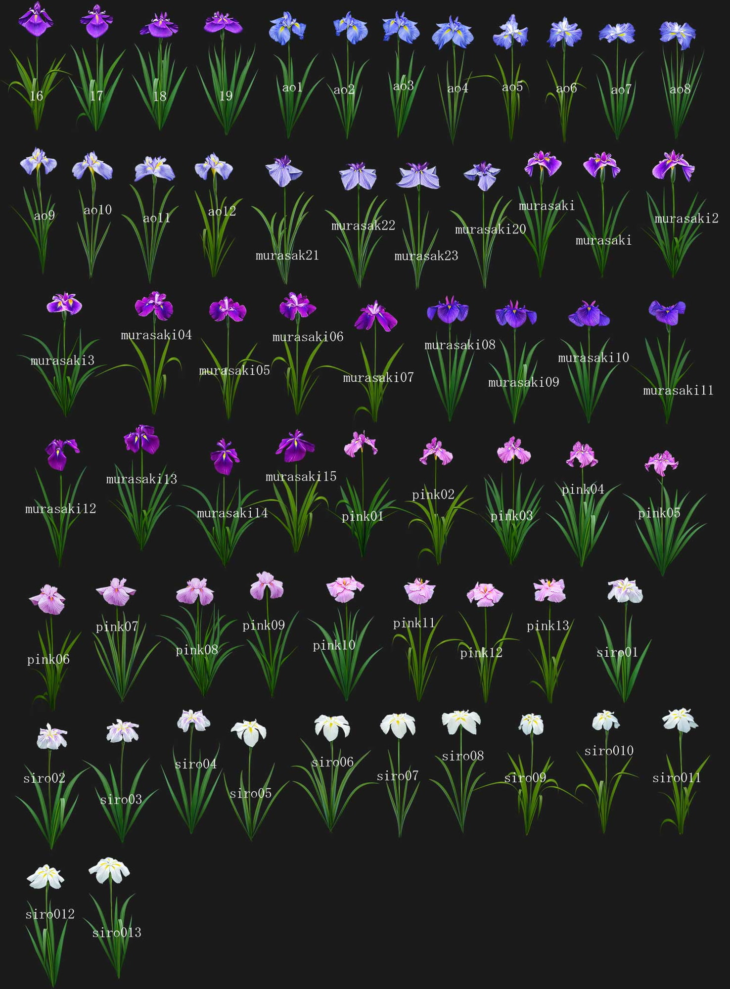 著作権フリー背景CG素材「花菖蒲素材」