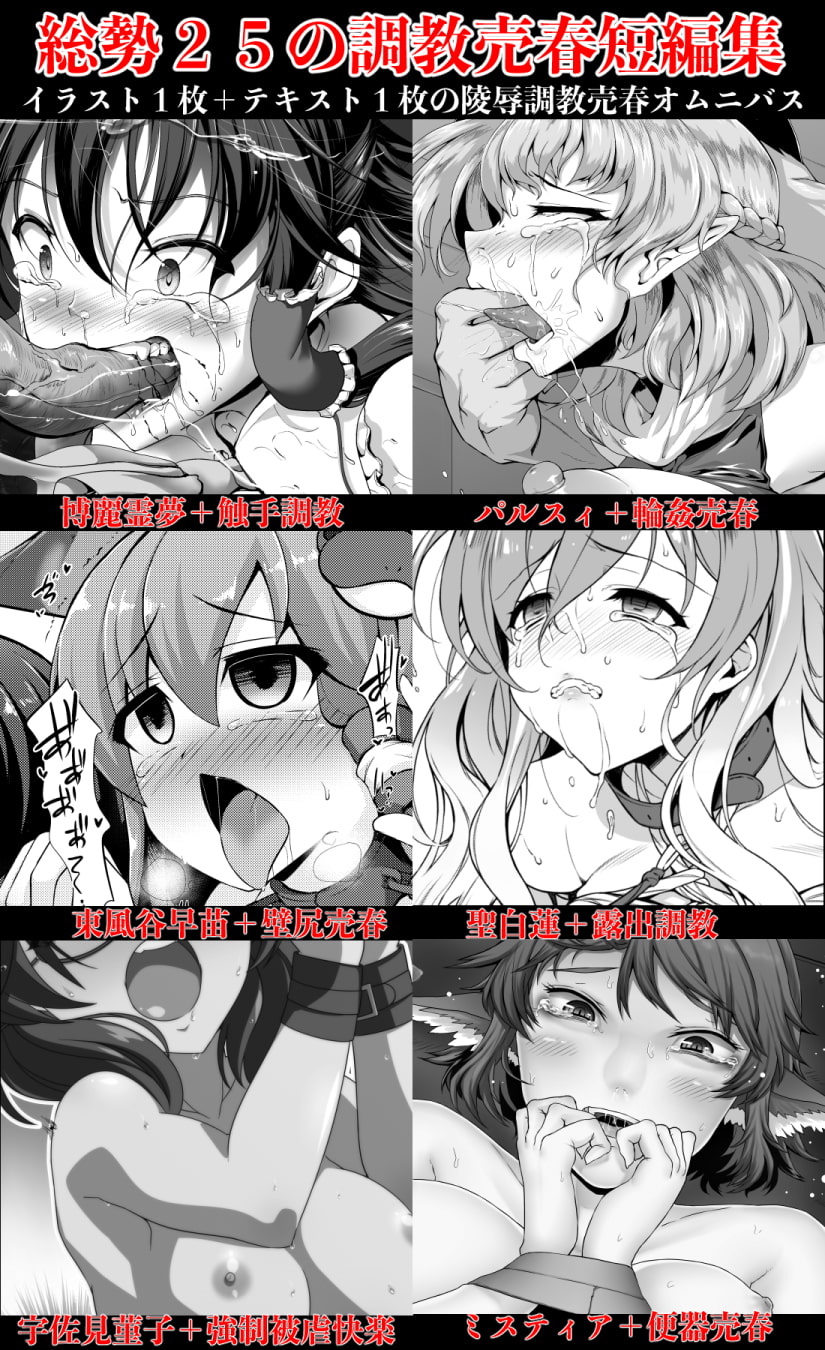 幻想調教売春合同 肉便器に堕ちる幻想郷の牝贄たち