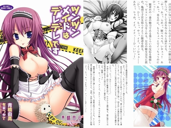 ツンツンメイドはデレデレです