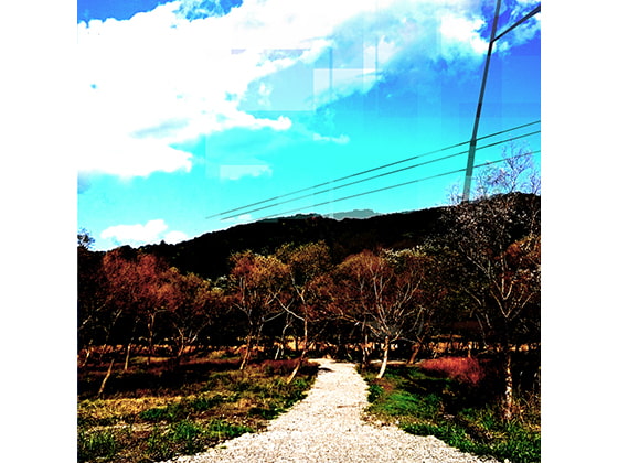 BGM音楽素材 [アーティスティック]