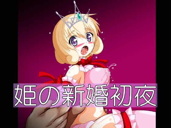 姫の新婚初夜