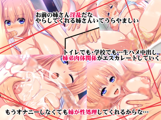 寝ている姉さんに媚薬を飲ませて犯した