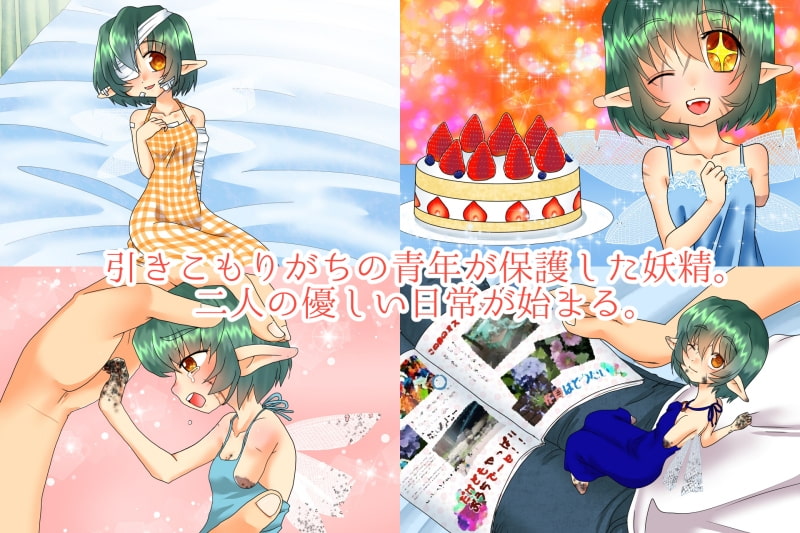 怪我をした妖精さんを拾ったよ。