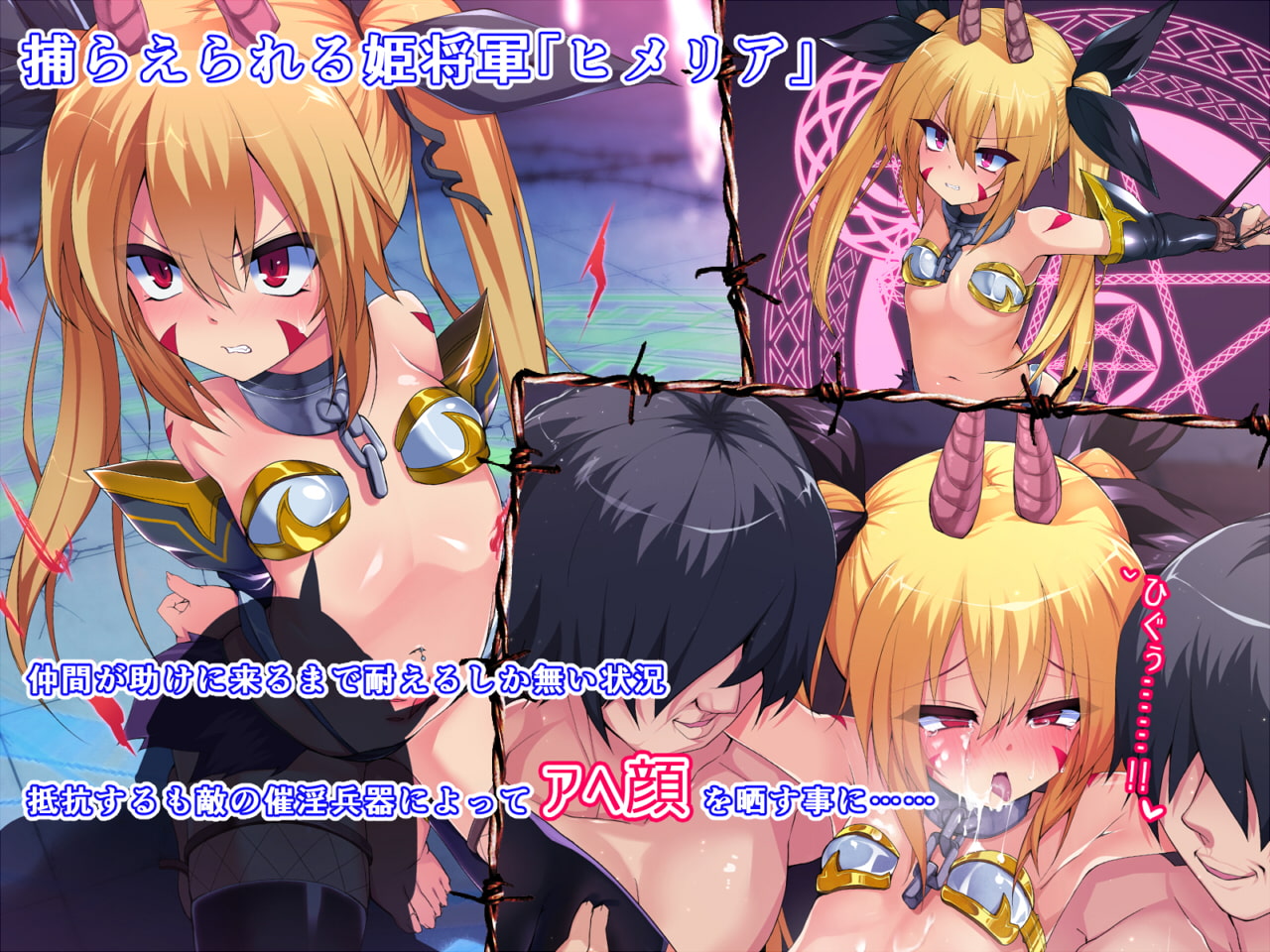 ヒメリア捕縛調教-オーク、ゴブリン、奴隷以下の私-