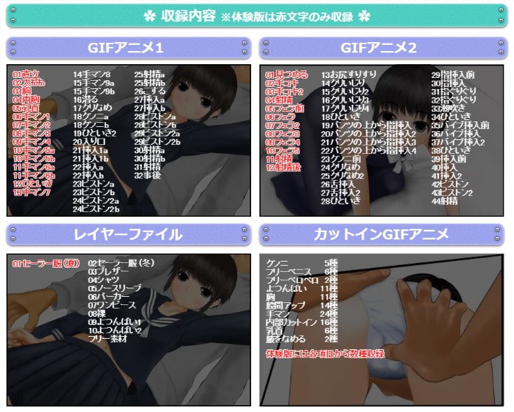 カスタマイズDX