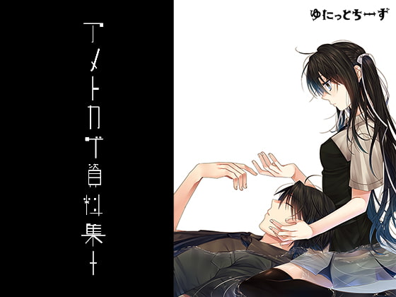 アメトカゲ資料集+