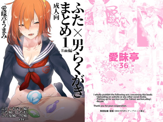 ふた×男らくがきまとめ1 Fate編