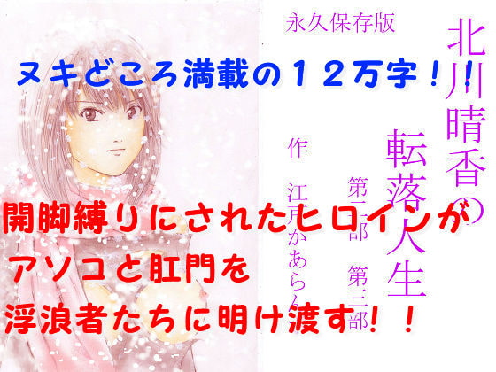 北川晴香の転落人生 第二部第三部