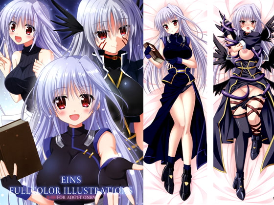 EINS FULL COLOR ILLUSTRATIONS