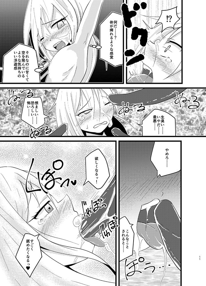 月の袖、菊の籬