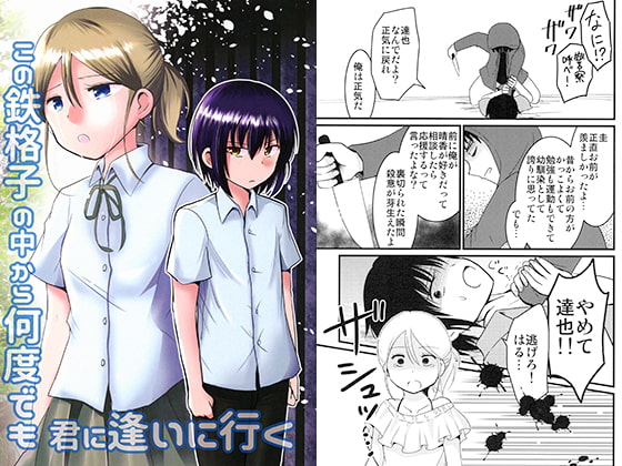 この鉄格子の中から何度でも君に逢いに行く