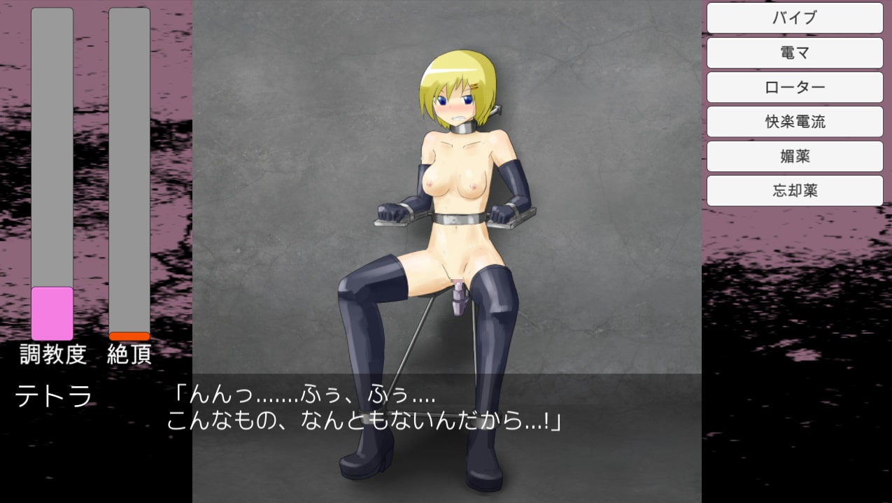 奴隷少女テトラ_拘束快楽調教編