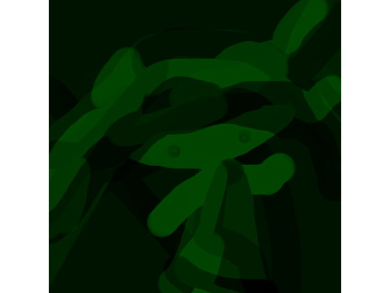 アルメデション(裏白)