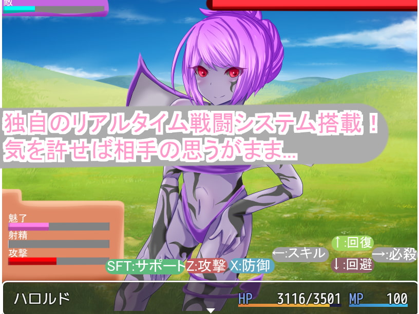 女尊男卑国家に立ち向かうも性欲に負けて犯されるRPG