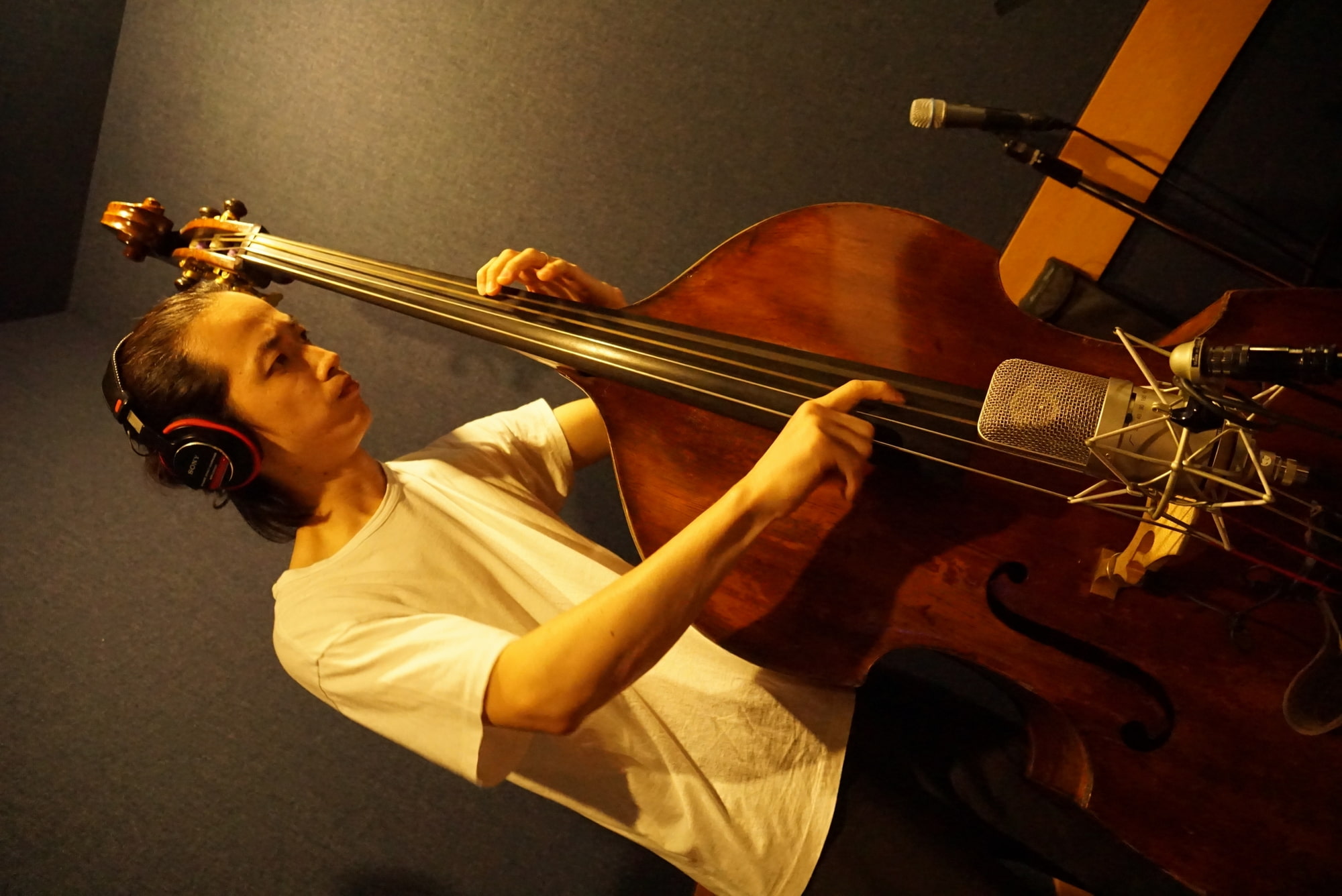 SUMMER VIBE [Complete & Bonus Pack]