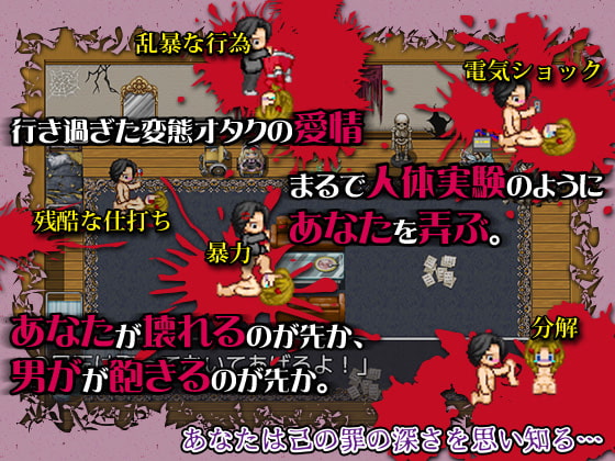 もし、あなたが美少女人形となって変態オタクに拾われてしまったら