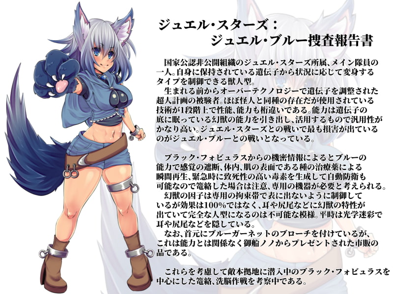 変身ヒロイン悪堕ち報告書2 メスケモふたなり改造計画